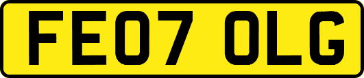 FE07OLG
