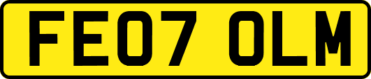 FE07OLM