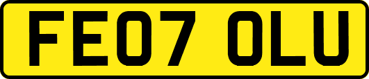FE07OLU