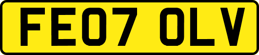 FE07OLV