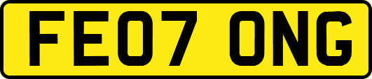 FE07ONG