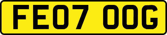 FE07OOG