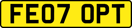 FE07OPT