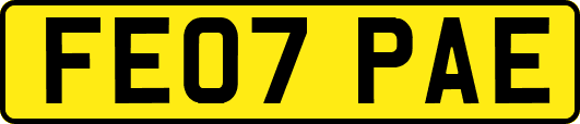 FE07PAE