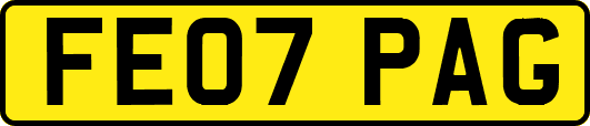 FE07PAG