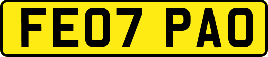 FE07PAO