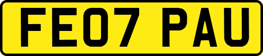 FE07PAU