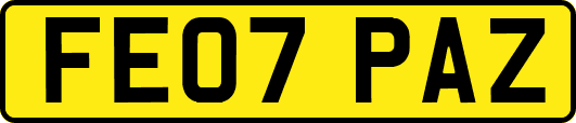 FE07PAZ