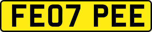 FE07PEE