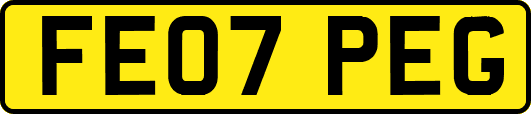 FE07PEG