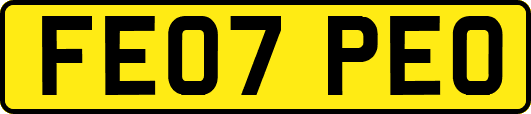 FE07PEO