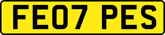 FE07PES
