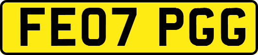 FE07PGG