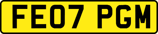 FE07PGM