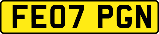 FE07PGN
