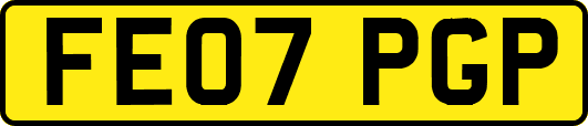 FE07PGP