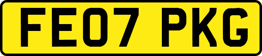 FE07PKG