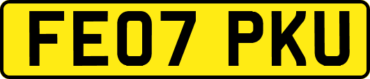 FE07PKU