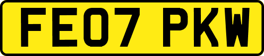 FE07PKW
