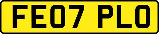 FE07PLO