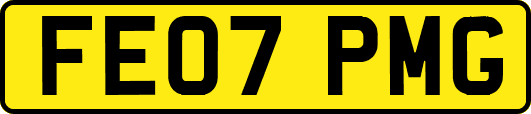 FE07PMG