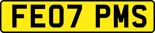 FE07PMS
