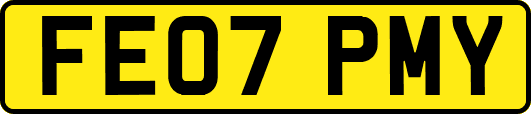 FE07PMY