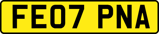 FE07PNA