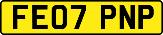 FE07PNP