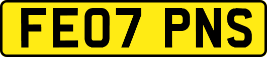 FE07PNS