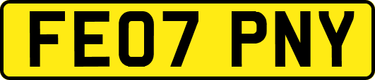 FE07PNY