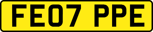FE07PPE