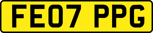 FE07PPG