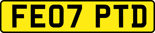 FE07PTD