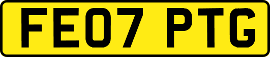 FE07PTG