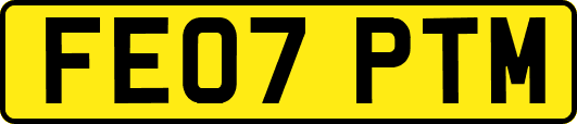 FE07PTM