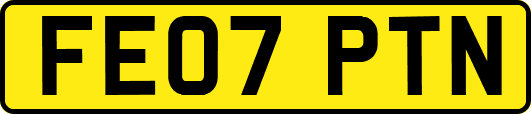 FE07PTN