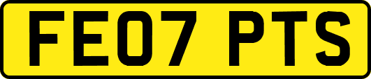 FE07PTS