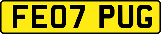 FE07PUG