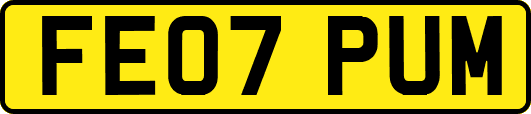FE07PUM