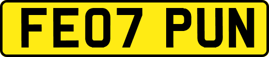 FE07PUN