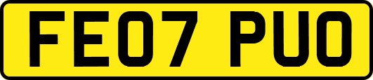 FE07PUO