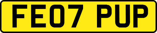 FE07PUP