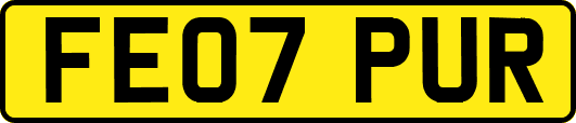 FE07PUR