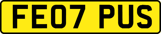 FE07PUS