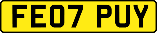 FE07PUY