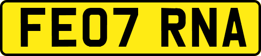 FE07RNA
