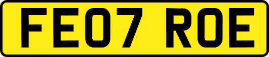 FE07ROE