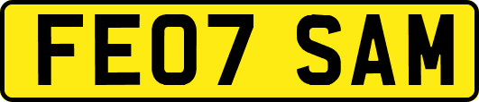FE07SAM