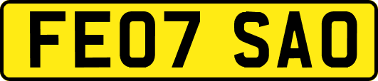 FE07SAO